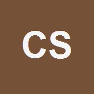 Customer Success Team